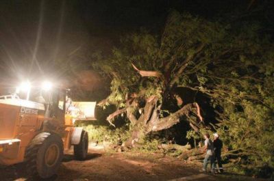 El granizo fue impiadoso en La Reducci�n