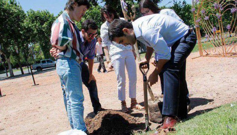 Plantan m�s jacarand�s tras el esc�ndalo del cartel de Coca Cola