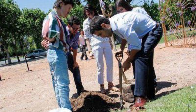 Plantan m�s jacarand�s tras el esc�ndalo del cartel de Coca Cola