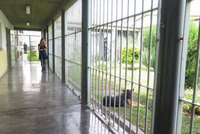Privadas de la libertad accedieron al DNI