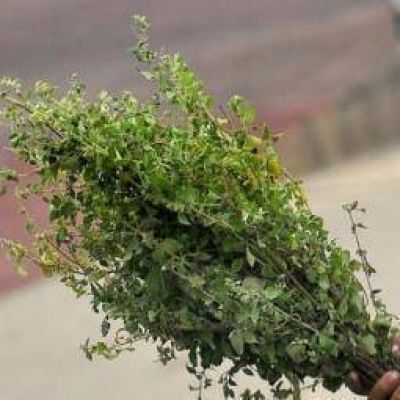 C�rdoba pide el respaldo de La Rioja a rechazo a proyecto de ley