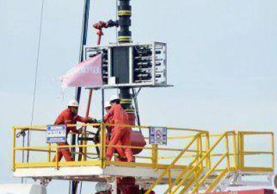 GyP y Wintershall inician exploraci�n en Vaca Muerta 