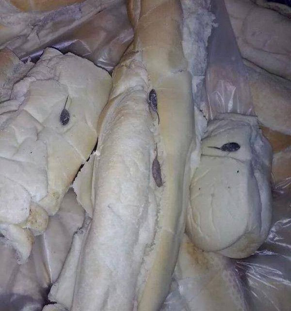 Vergonzoso: pan con gusanos en una escuela