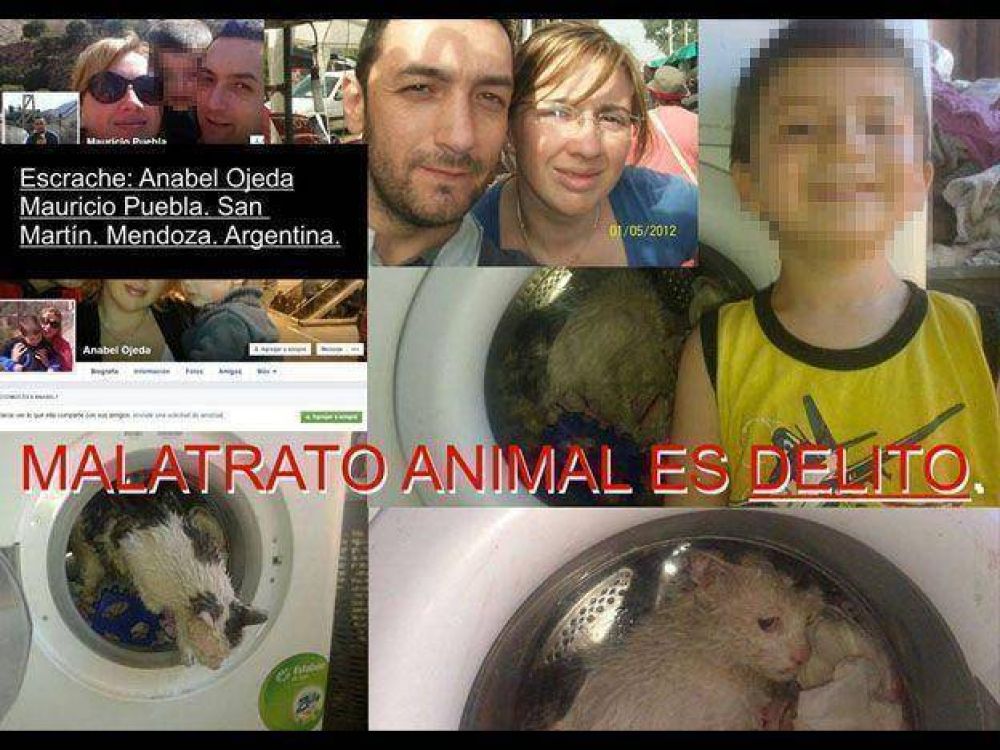 Una pareja de San Mart�n fue denunciada en las redes por maltrato animal