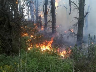 Fuego en un monte por casi dos d�as