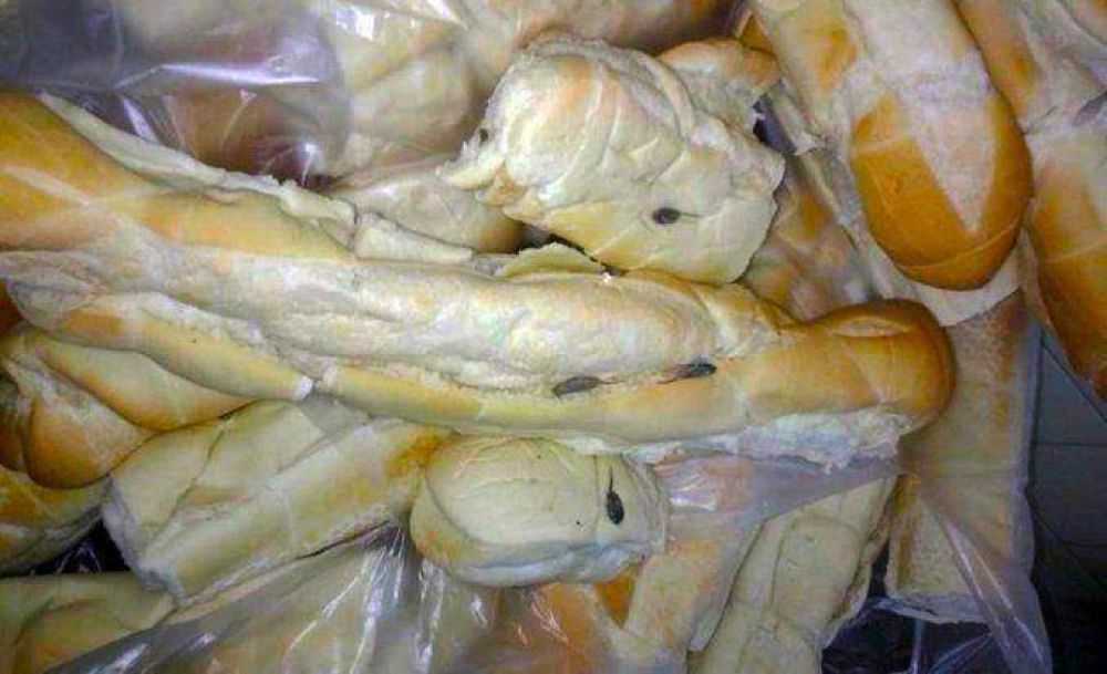 Mar del Plata: una escuela municipal recibi� pan con gusanos