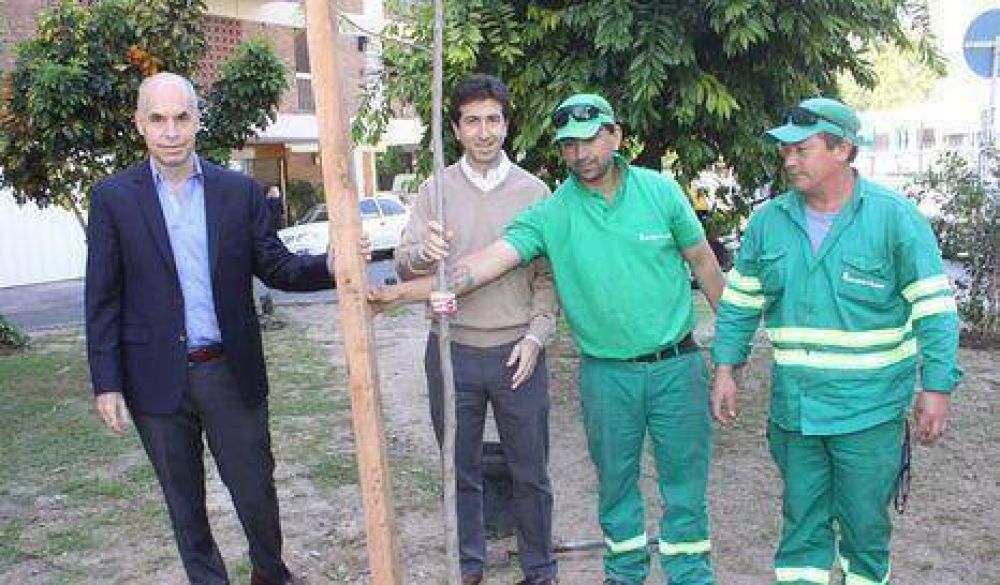 Belgrano: Coca Cola plant� jacarand�s