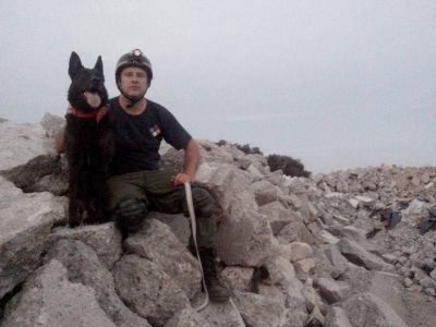 Un buen perro de b�squeda