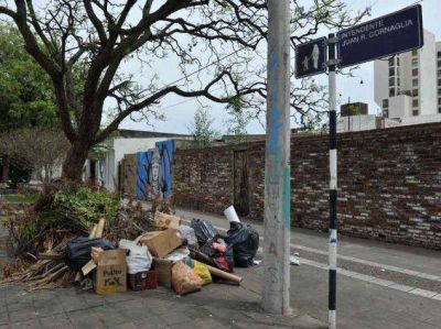 Colocan cestos contenedores para evitar proliferaci�n de minibasurales