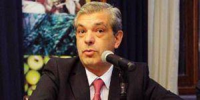 Dom�nguez: �Insfr�n es uno de los dirigentes m�s respetados, impone su visi�n y gesti�n�