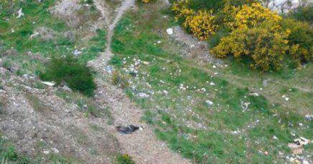 Sigue la b�squeda del identificado asesino de David