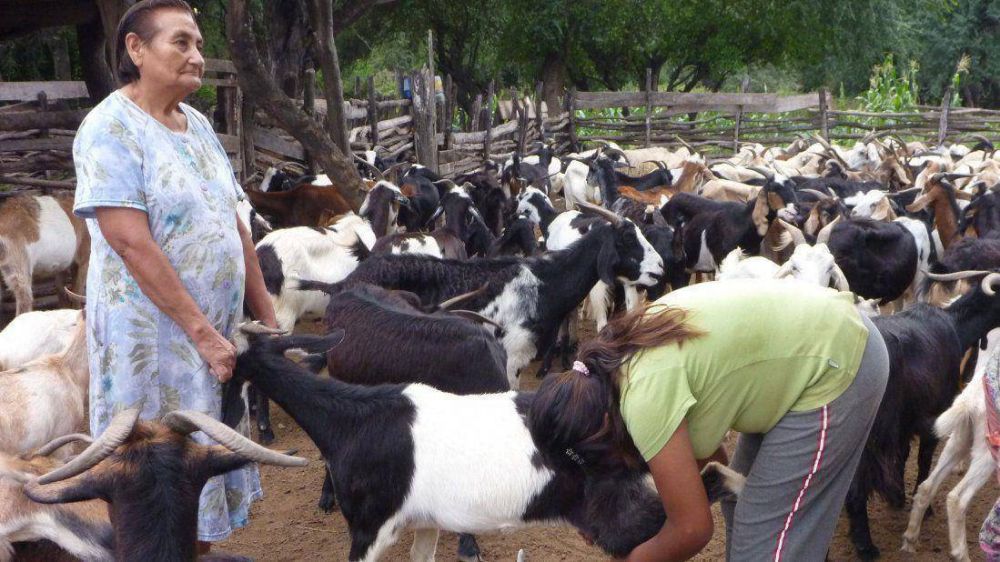 Quieren desalojar a puesteros que se le plantaron a Cuenca Corrupci�n en Salta