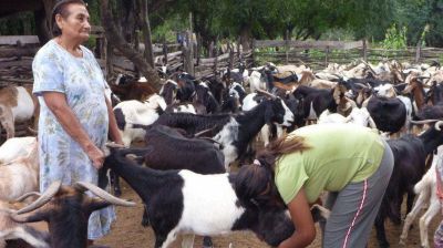 Quieren desalojar a puesteros que se le plantaron a Cuenca Corrupci�n en Salta