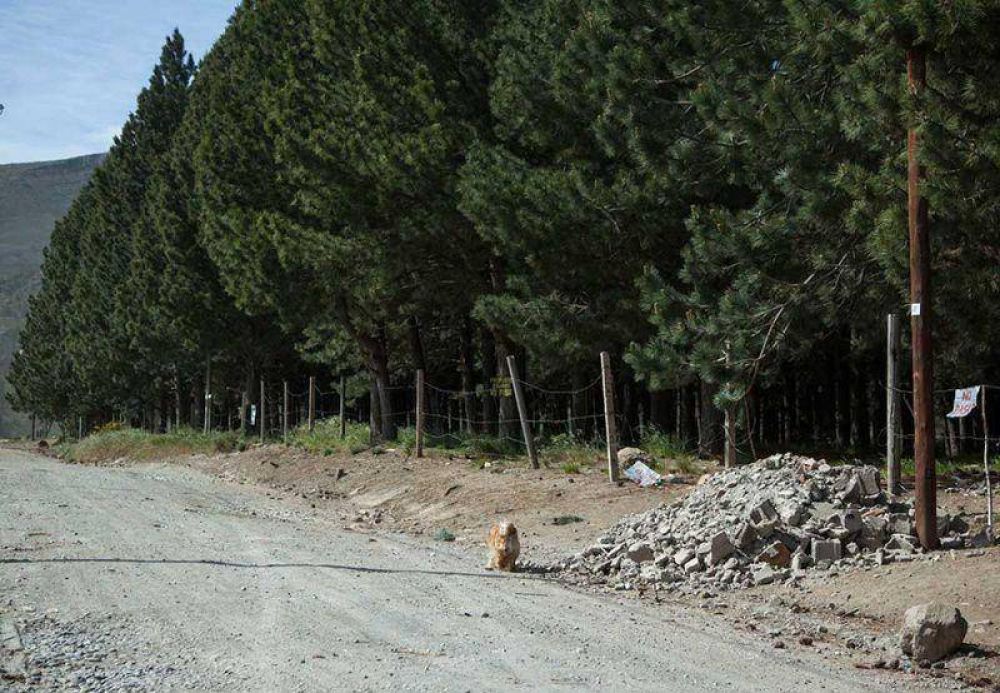Incre�ble pero cierto, destruyeron una garita por orden municipal