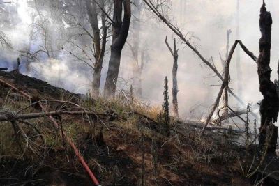 Bomberos siguen en la guardia de cenizas
