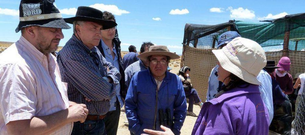 ESQUILA DE VICU�AS: MORALES DESTAC� EL MODELO QUE CONJUGA SUSTENTABILIDAD Y PRODUCCI�N