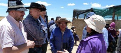 ESQUILA DE VICU�AS: MORALES DESTAC� EL MODELO QUE CONJUGA SUSTENTABILIDAD Y PRODUCCI�N