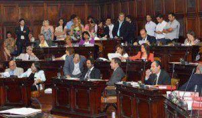 El proyecto Hierro obtuvo media sanci�n en el Senado