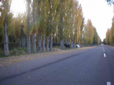 La Suprema Corte habilit� impedir el acceso a la Ruta 40