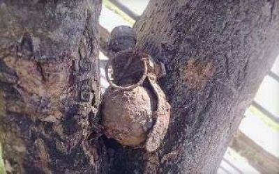 Tres de Febrero: Encontraron una granada en una plaza