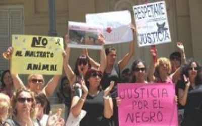 Protesta contra el maltrato animal en Jun�n