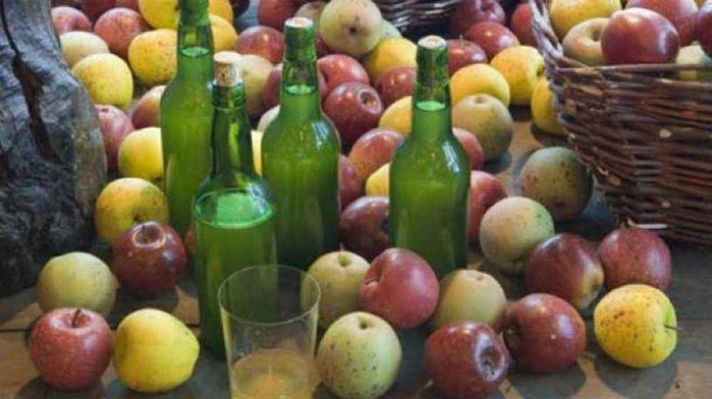 Garc�a Larraburu busca fomentar la producci�n de la sidra
