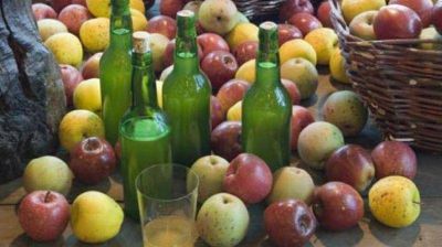 Garc�a Larraburu busca fomentar la producci�n de la sidra