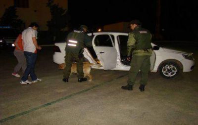 Gendarmer�a secuestr� estupefacientes en 28 de Noviembre