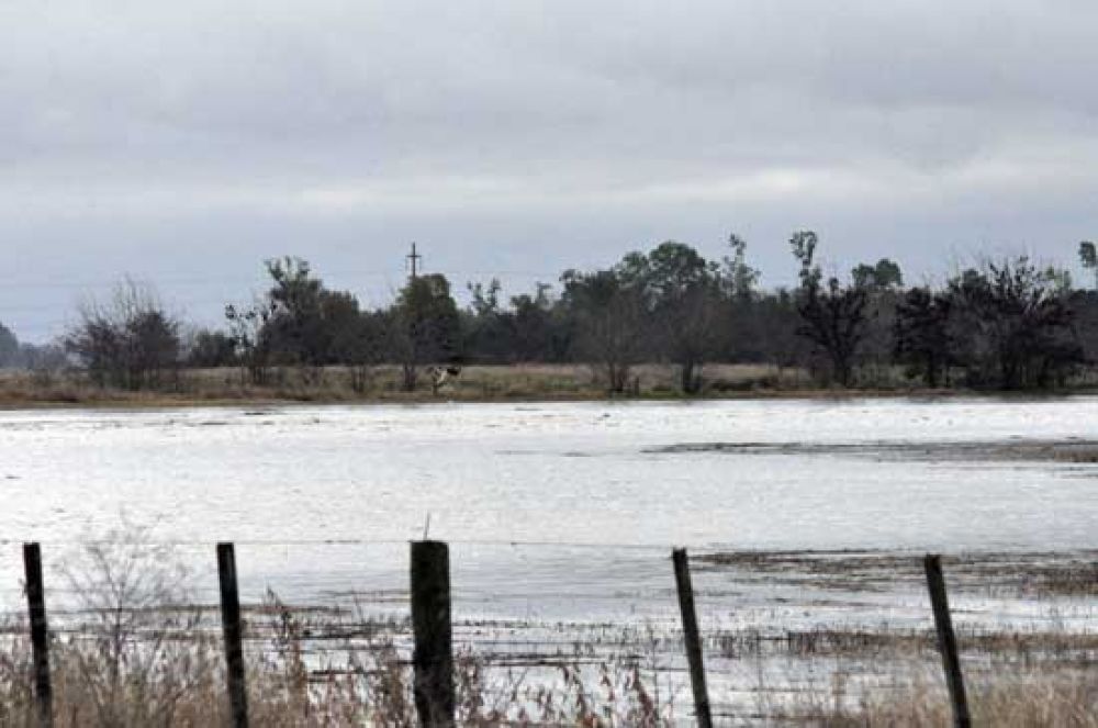 La emergencia agropecuaria en Olavarr�a regir� hasta fin de a�o