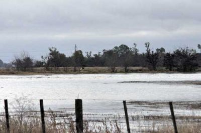 La emergencia agropecuaria en Olavarr�a regir� hasta fin de a�o