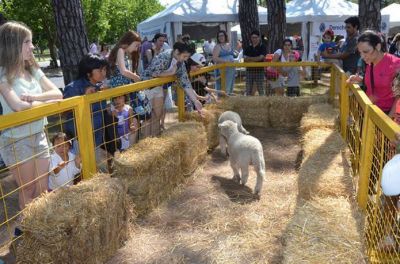 Con actividades al aire libre, San Isidro conmemor� el D�a de los Derechos del Ni�o 