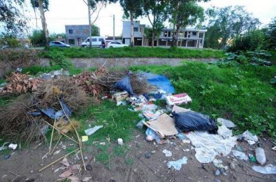 Limpiaron el canal del Camino del Sirga, pero no se llevaron la basura