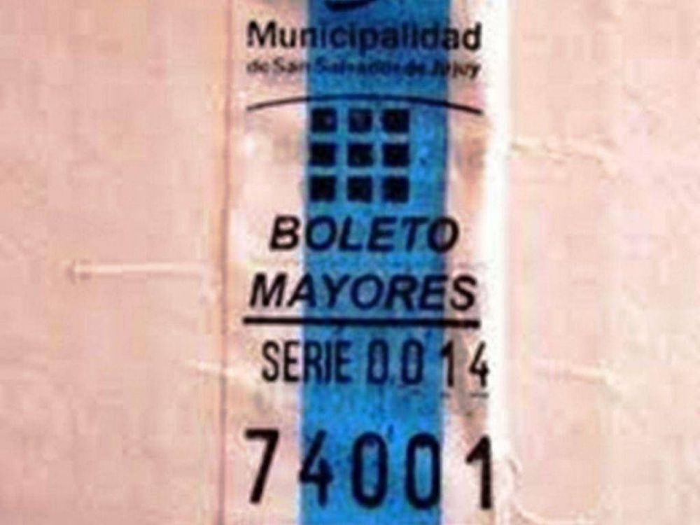 El precio del boleto se debate hoy en Audiencia P�blica