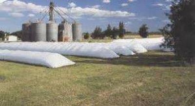 Banco Naci�n recorta el cr�dito a productores que retengan soja.