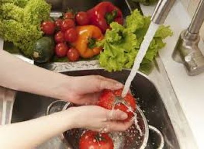 Alimentos: recomendaciones de Bromatolog�a municipal 