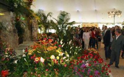 Comenz� la 7ma. edici�n de la Expo Flor en La Plata