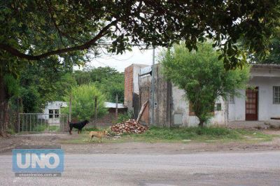 La pelea narco por un pasillo ser�a el trasfondo de un crimen