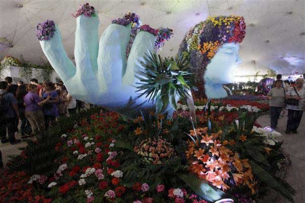 En floricultura, La Plata exhibe toda su potencia    