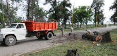 Desde el municipio trabajan en el mantenimiento de la ciudad