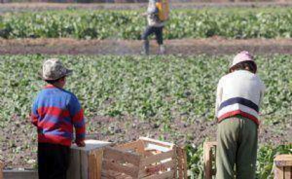 Aseguran que el trabajo infantil persiste en la temporada de cosechas en San Juan