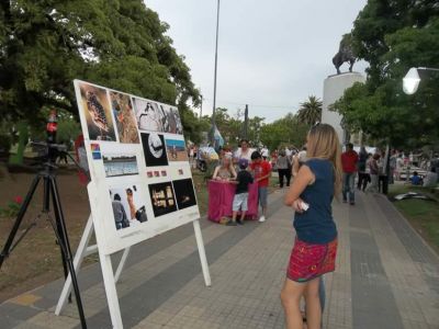 Arte para todos los gustos en la plaza