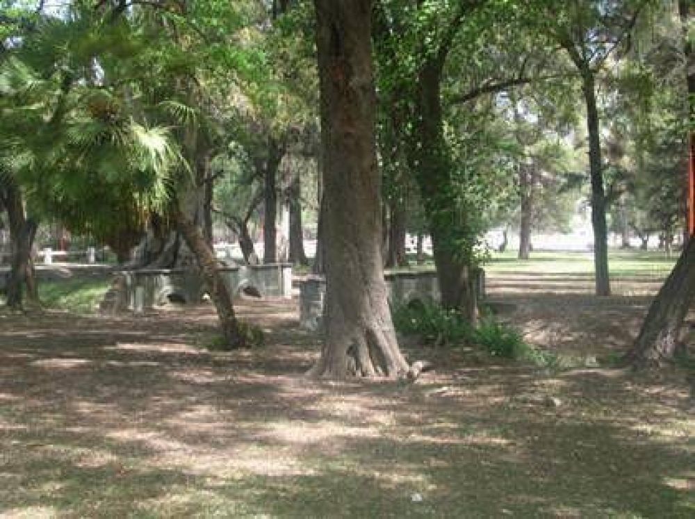 Otra vez una rama caus� un accidente en el Parque de Mayo