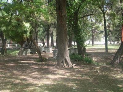 Otra vez una rama caus� un accidente en el Parque de Mayo