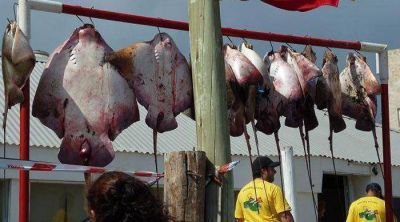 Pehuen-Co: gan� el concurso de pesca con un chucho de 30 kilos