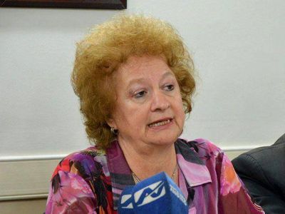 La oposici�n evaluar� pedir el juicio pol�tica a Vollmer
