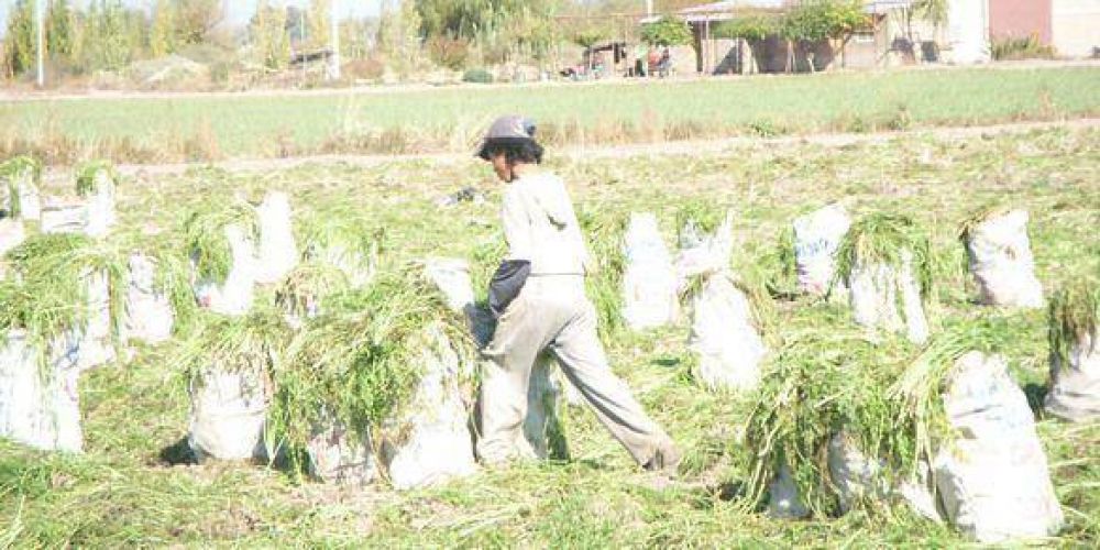 Allanaron una quinta: rescataron a 92 personas