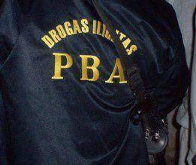 M�s de 250 kilos de marihuana secuestrados en Ramallo  