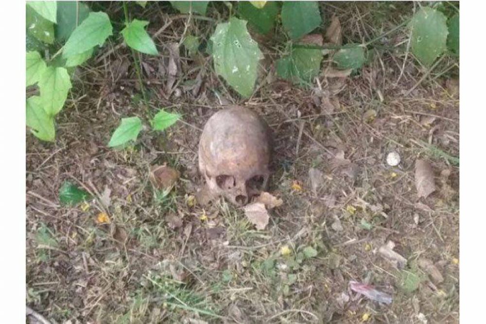 Encuentran un cr�neo humano en un bald�o