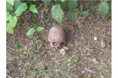 Encuentran un cr�neo humano en un bald�o