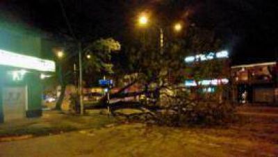 Un feroz vendaval de viento y granizo dej� profundas huellas en Tucum�n